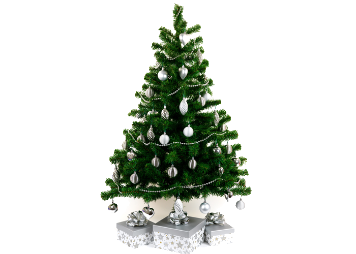 Christmas Trees