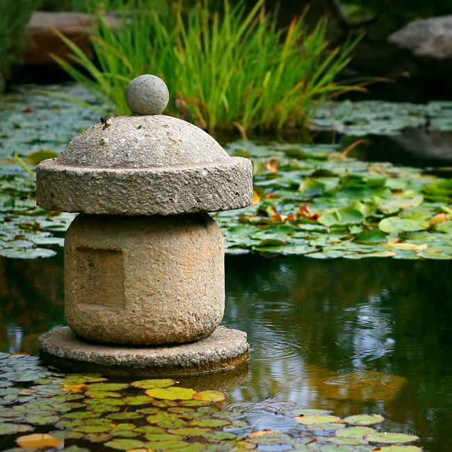 Pools & Ponds