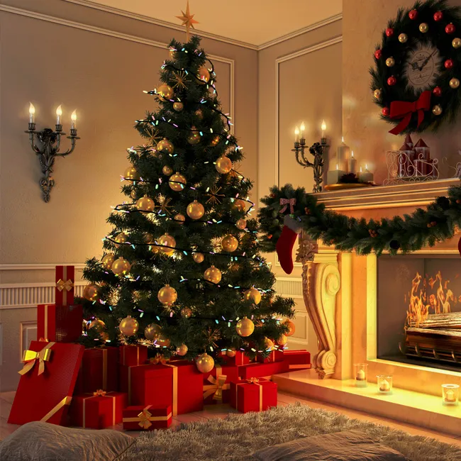 Real Christmas Trees in Sutton Coldfield