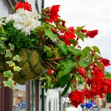 Floral Hanging Basket