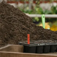 Garden Compost